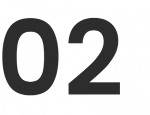 Pattern development stage icon